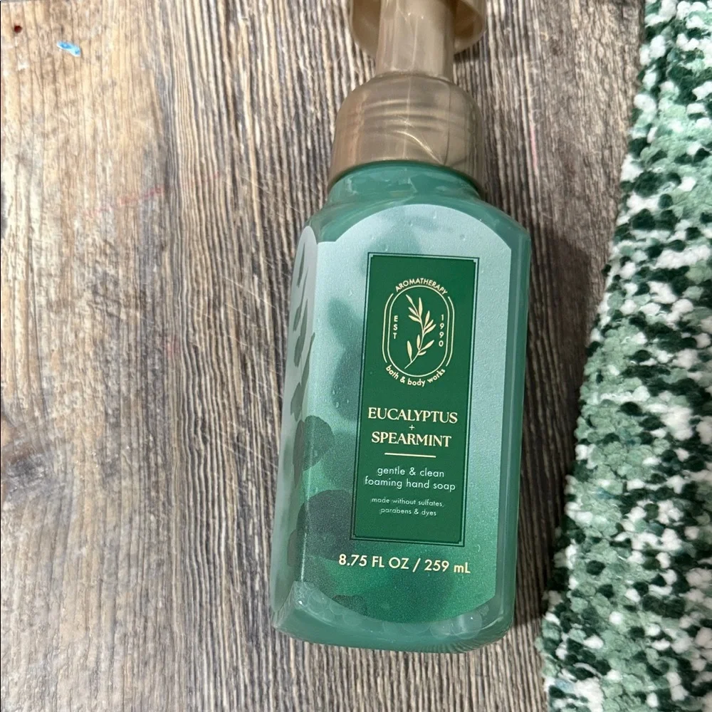 Bath & Body Works Eucalyptus Spearmint Hand Soap